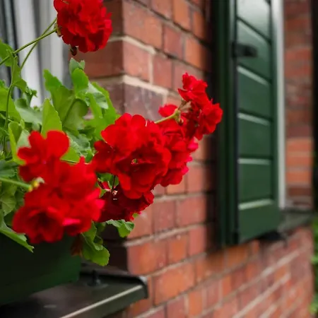 فندق مبيت وإفطار U Swietego Krzysztofa