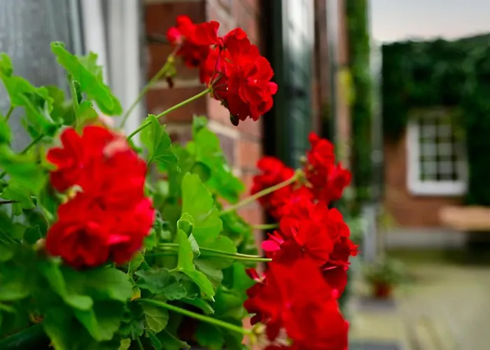 Bed & Breakfast U Swietego Krzysztofa Wrocław