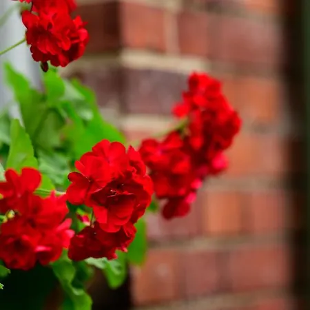 U Swietego Krzysztofa Panzió Wrocław