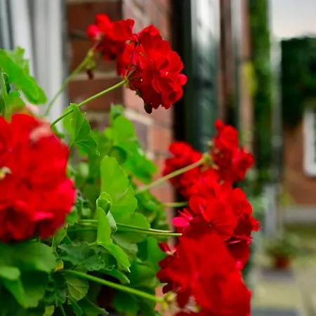 Panzió U Swietego Krzysztofa Wrocław