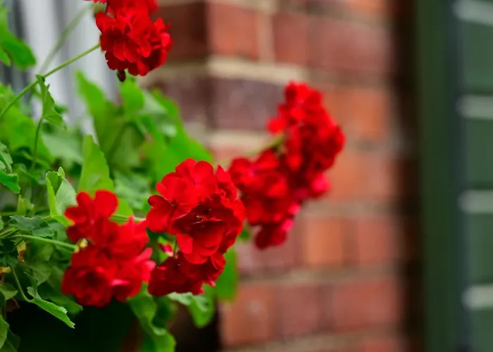 U świętego Krzysztofa Nocleg ze śniadaniem Wrocław