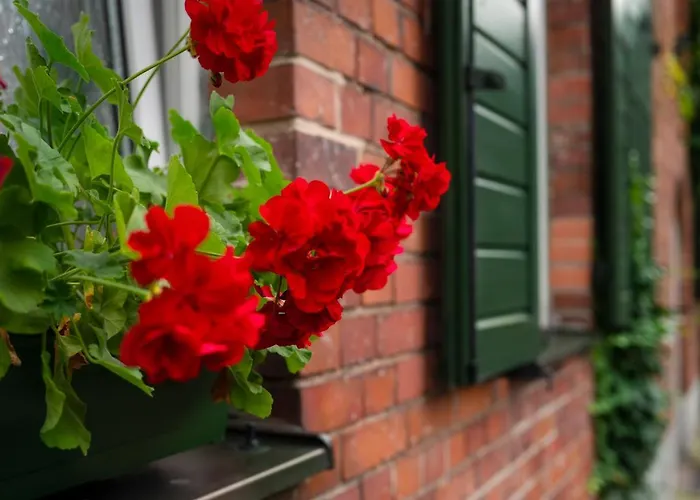 Frühstückspension U Swietego Krzysztofa